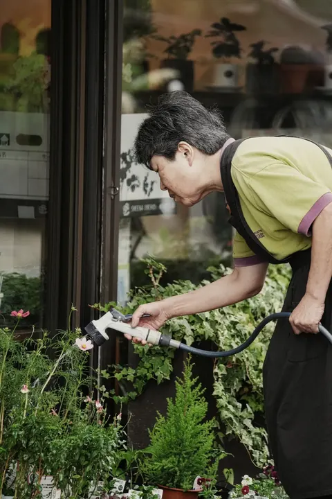 Kyoto, 2024