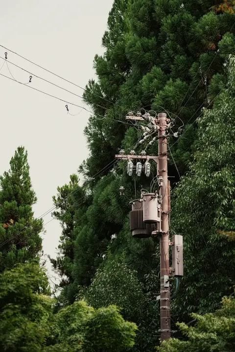 Kyoto, 2024
