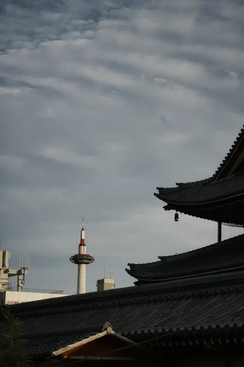 Kyoto, 2024