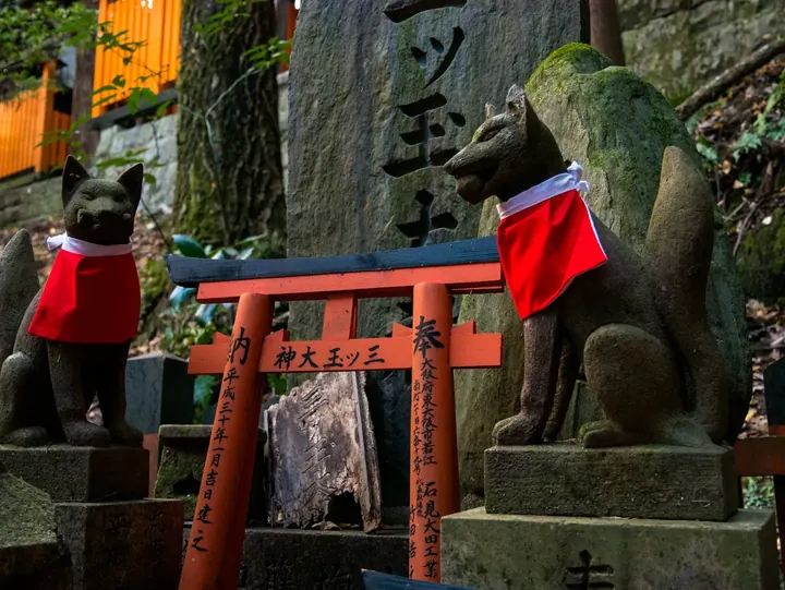 Kyoto, 2019