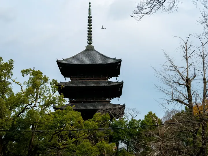 Kyoto, 2019