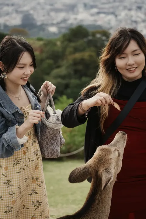 Nara, 2024