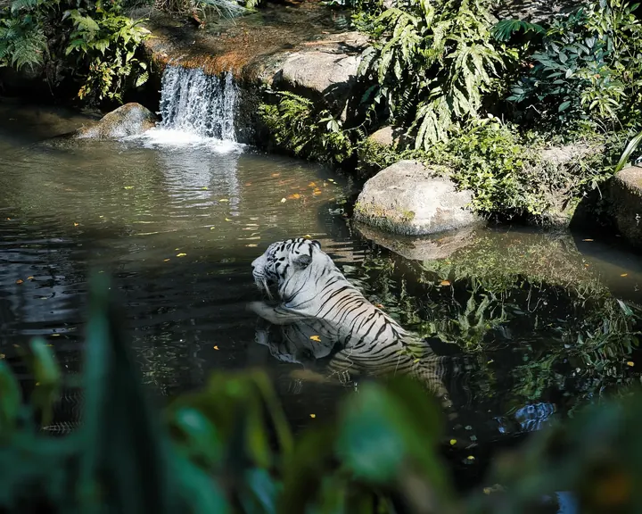 Singapore, 2022