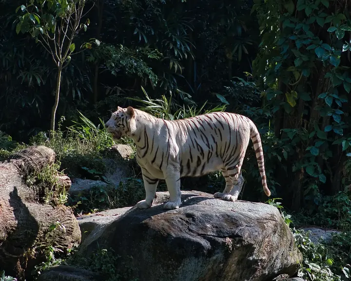 Singapore, 2022