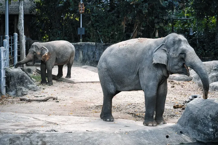 Singapore, 2022