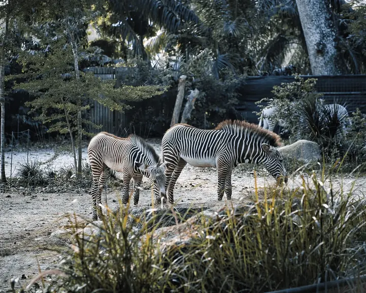 Singapore, 2022