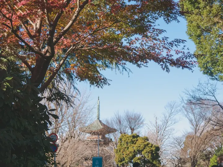 Tokyo, 2019