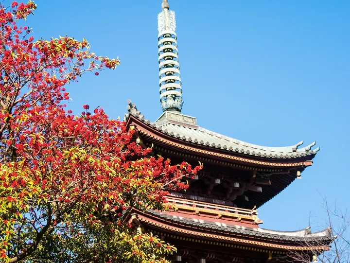 Tokyo, 2019